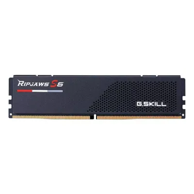GSKILL 24GB DDR5 5200MHZ CL40 PC RAM RIPJAWS F5-5200J4040A24GX1-RS5K