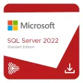 MICROSOFT SQL Server 2022 Std Lisans DG7GMGF0M80J0002CO